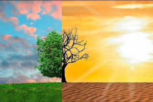 Problem globalnih klimatskih promjena na planeti i načinima za rješenje Problem globalnih klimatskih promjena na planeti i načinima za rješenje